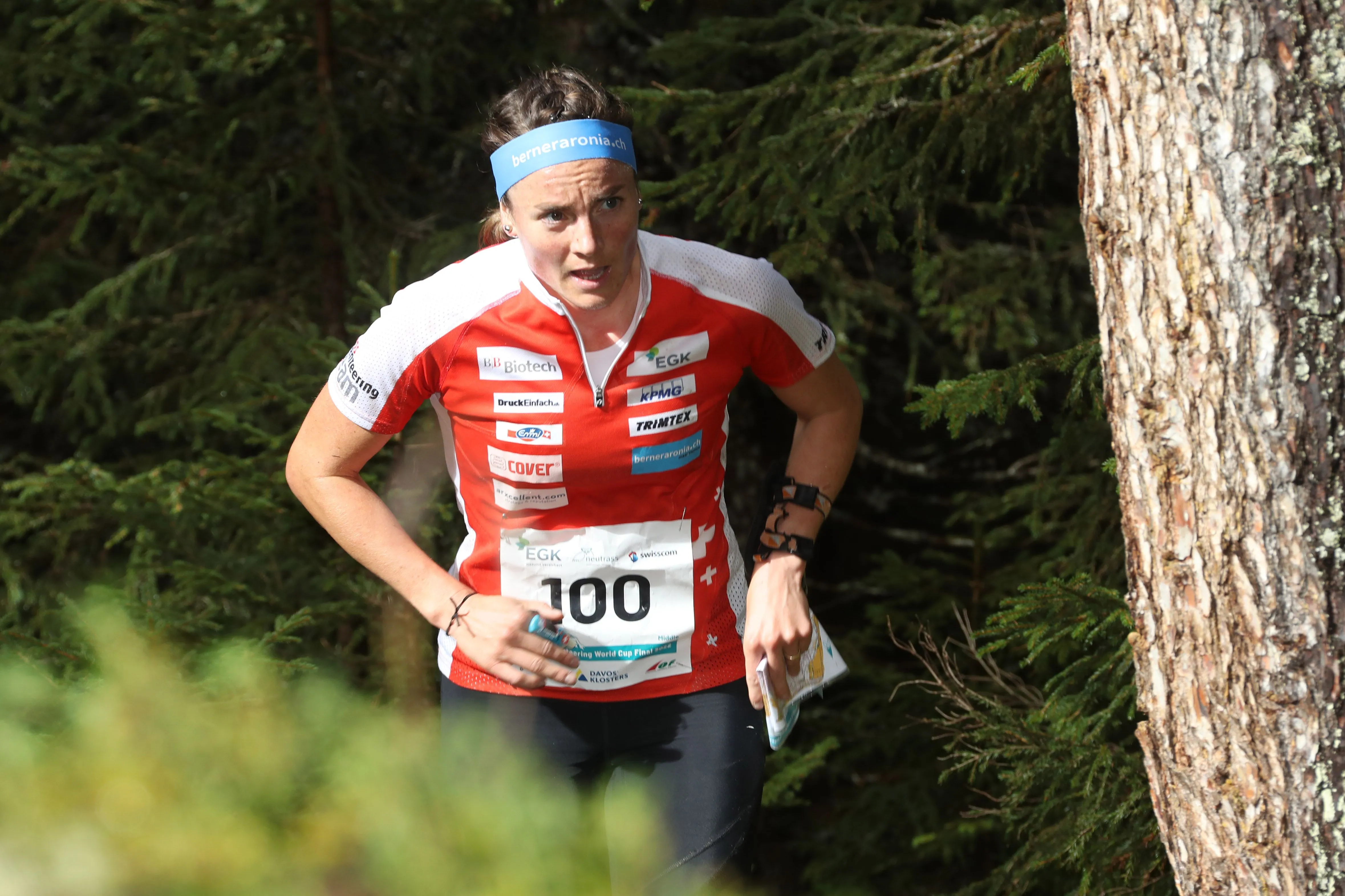 owc2022-middle-434758.jpg
