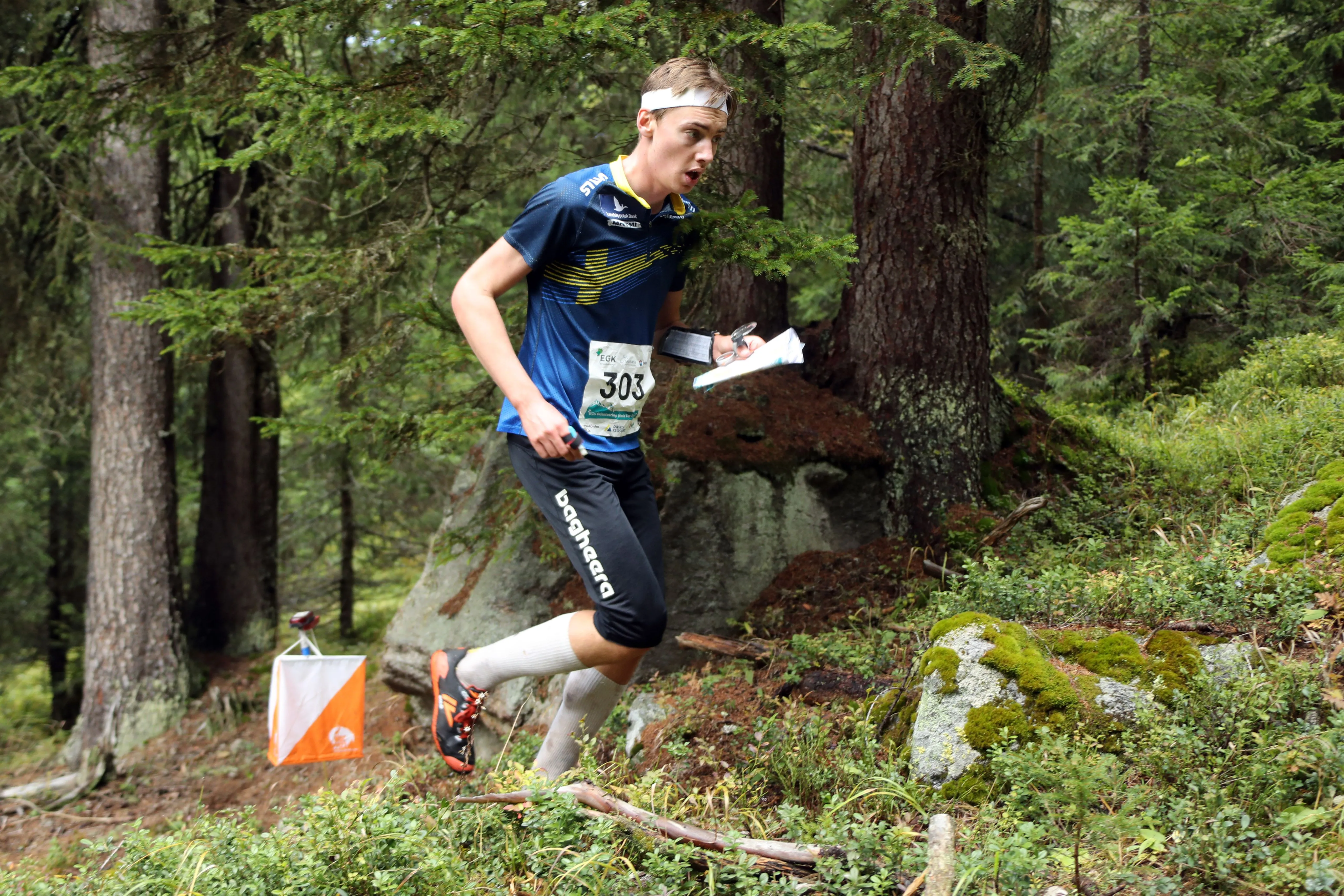 owc2022-middle-435033.jpg